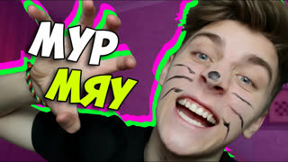 a4 - ЛЫСАЯ КИСКА l ОПЫТЫ НАД КОТОМ